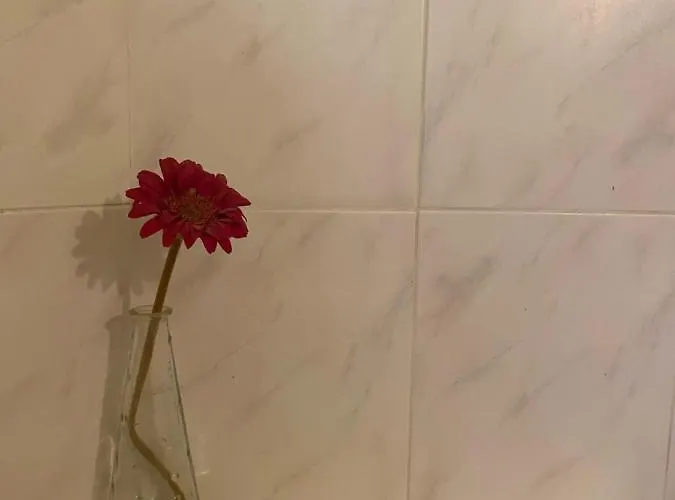 Mini House * 로갈라스